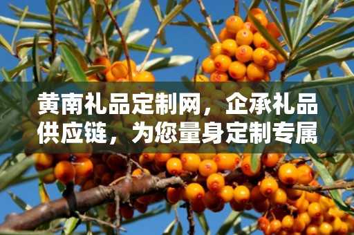 黄南礼品定制网，企承礼品供应链，为您量身定制专属礼品